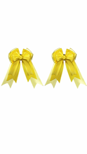 Load image into Gallery viewer, Belle &amp; Bow Bows
